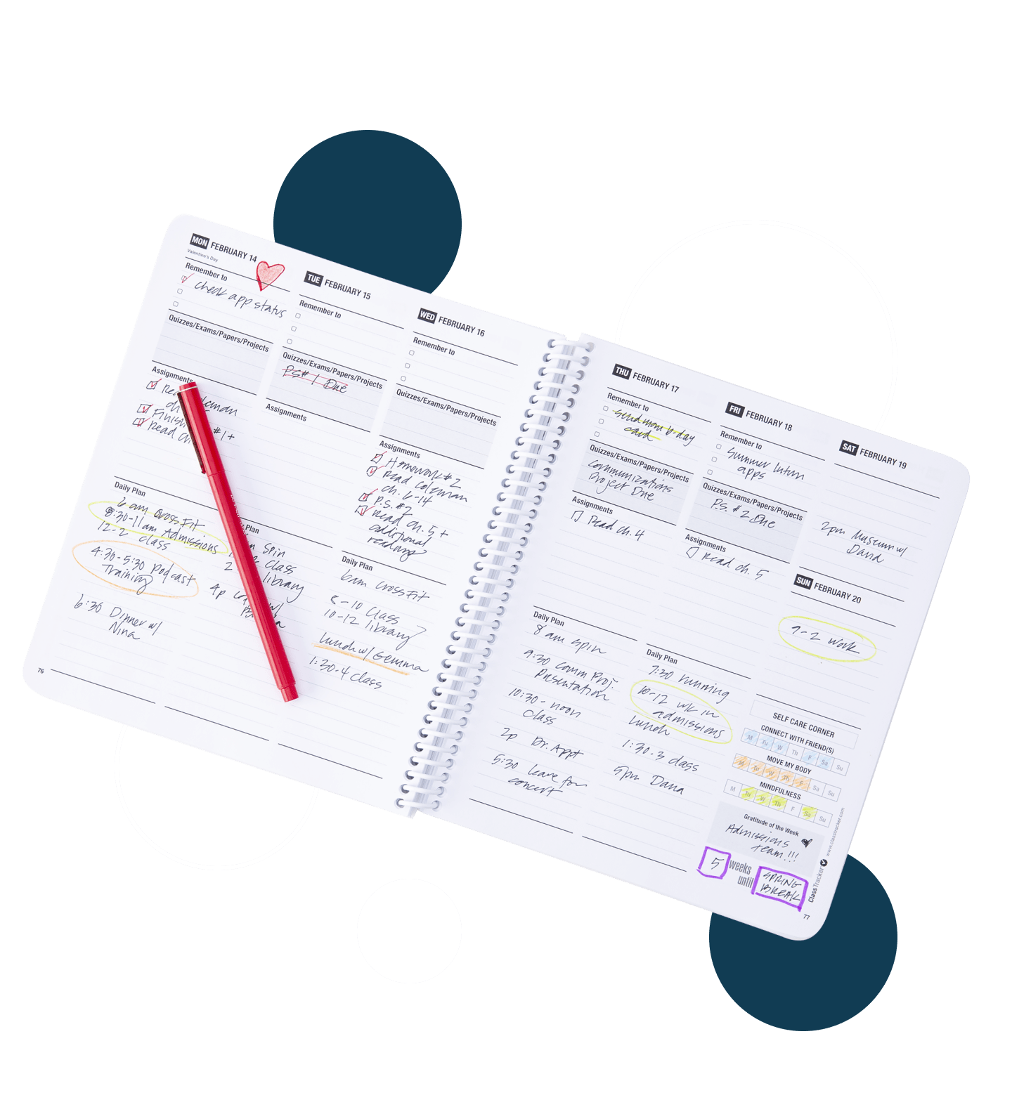 Planners Anatomy Image