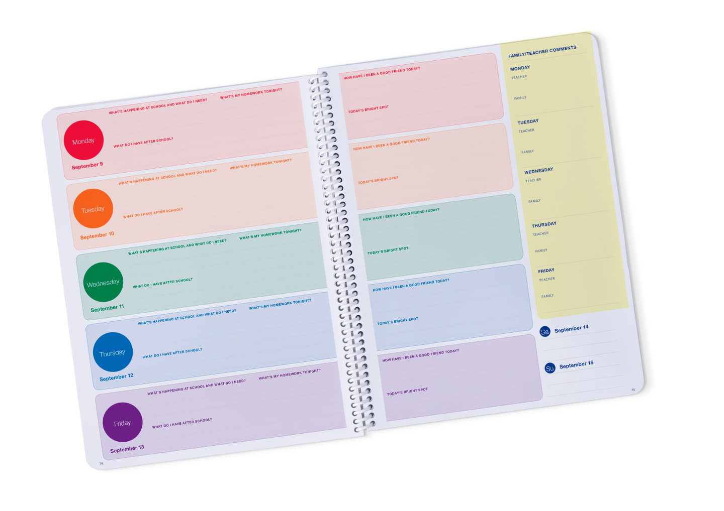 Planners Anatomy Image