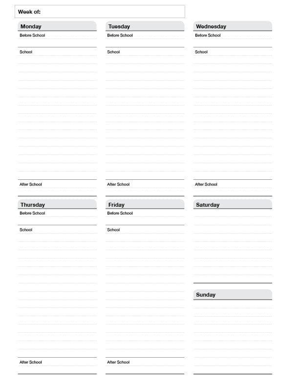 Class Tracker Teacher Planner, sample imagery that shows "Week of, Mon-Sunday Columns".